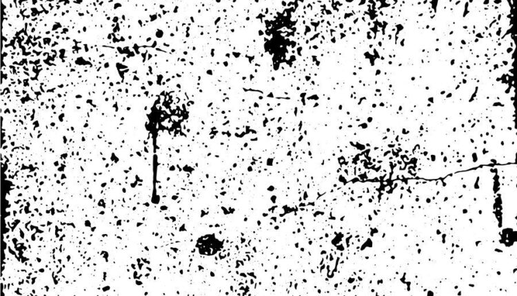 بافت وکتوری مشکی و سفید   black and white in vector