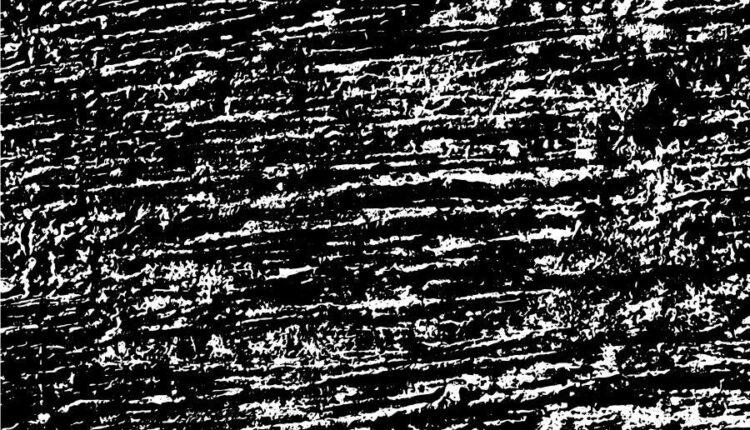 بافت وکتوری مشکی و سفید   black and white in vector