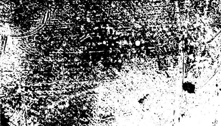 بافت وکتوری مشکی و سفید   black and white in vector