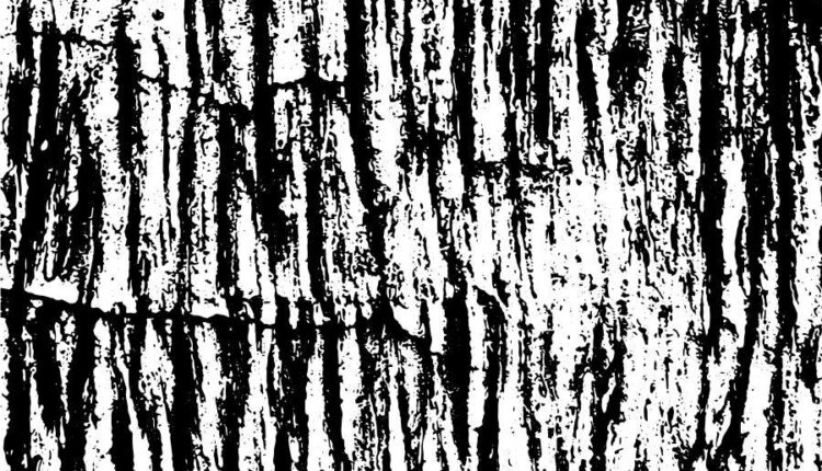 بافت وکتوری مشکی و سفید   black and white in vector