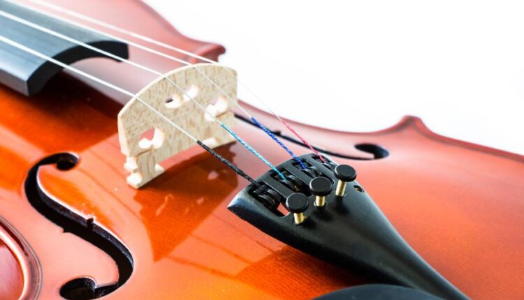 تصاویر استوک ساز های موسیقی   Musical instruments