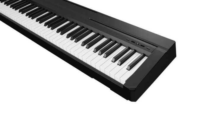 تصاویر استوک ساز های موسیقی   Musical instruments