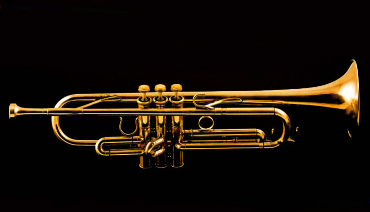 تصاویر استوک ساز های موسیقی   Musical instruments