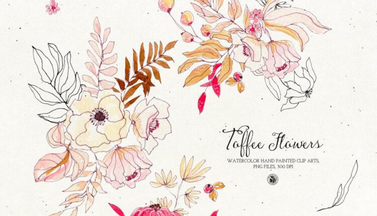 تصاویر png گل های آبرنگی تافی   Watercolor Toffee Flowers