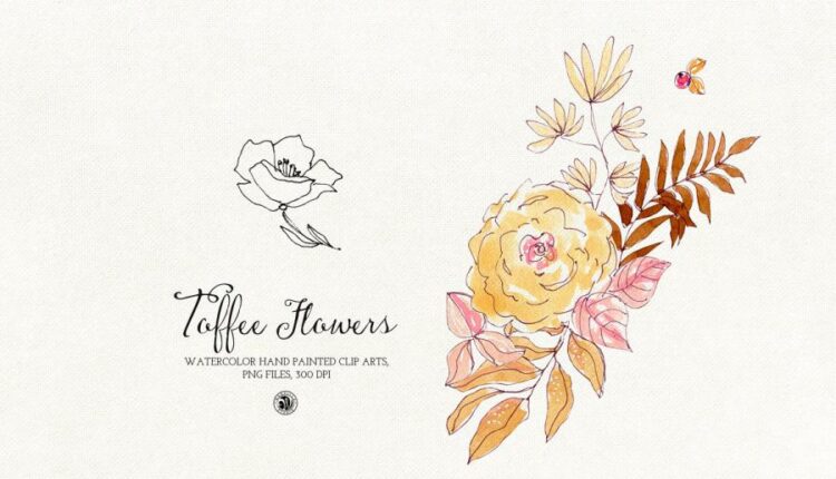 تصاویر png گل های آبرنگی تافی   Watercolor Toffee Flowers