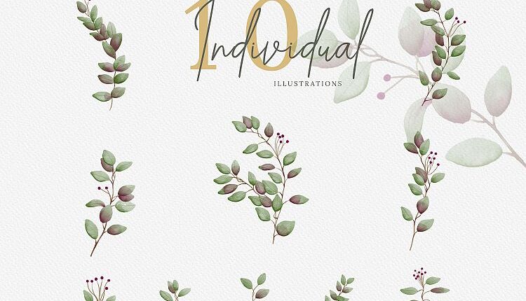 سری دوم تصاویر png گل ها و گیاهان جنگلی   Watercolor Forest