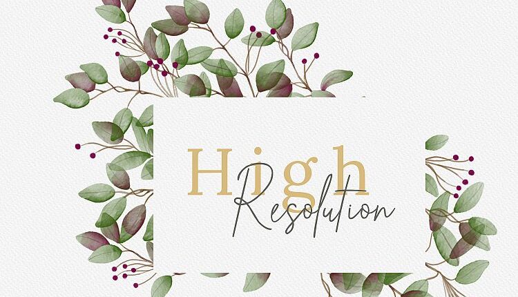 سری دوم تصاویر png گل ها و گیاهان جنگلی   Watercolor Forest