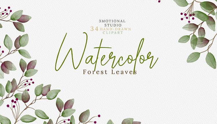 سری دوم تصاویر png گل ها و گیاهان جنگلی   Watercolor Forest