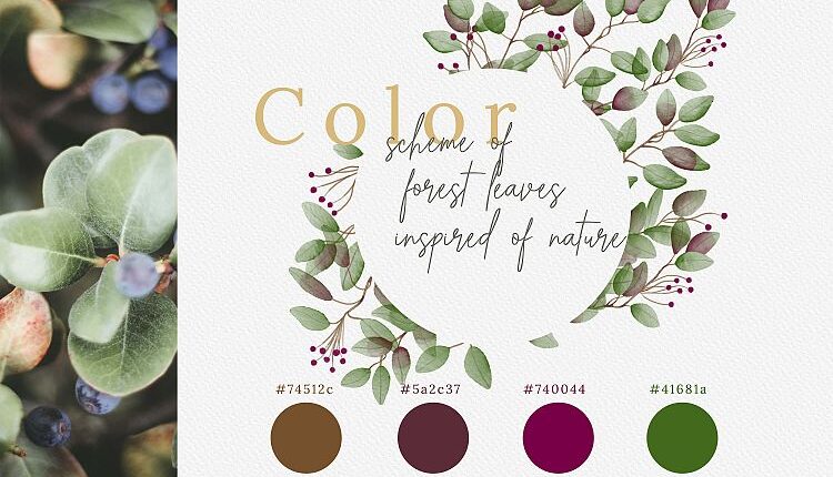 سری دوم تصاویر png گل ها و گیاهان جنگلی   Watercolor Forest