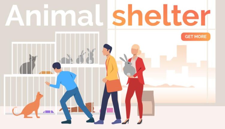 وکتور های تصویری خرید آنلاین و اینترنتی   internet marketing