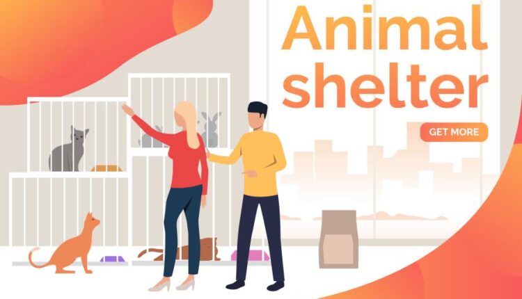 وکتور های تصویری خرید آنلاین و اینترنتی   internet marketing