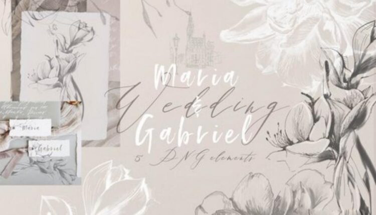 تصاویر png آبرنگی انواع گیاهان   LOGO ELEMENTS