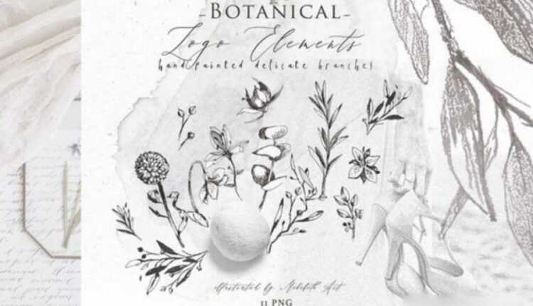 تصاویر png آبرنگی انواع گیاهان   LOGO ELEMENTS