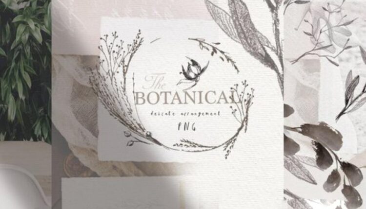 تصاویر png آبرنگی انواع گیاهان   LOGO ELEMENTS