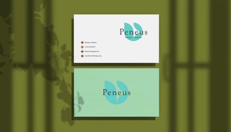 موکاپ کارت ویزیت   Business Card Mockup