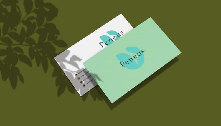 موکاپ کارت ویزیت   Business Card Mockup