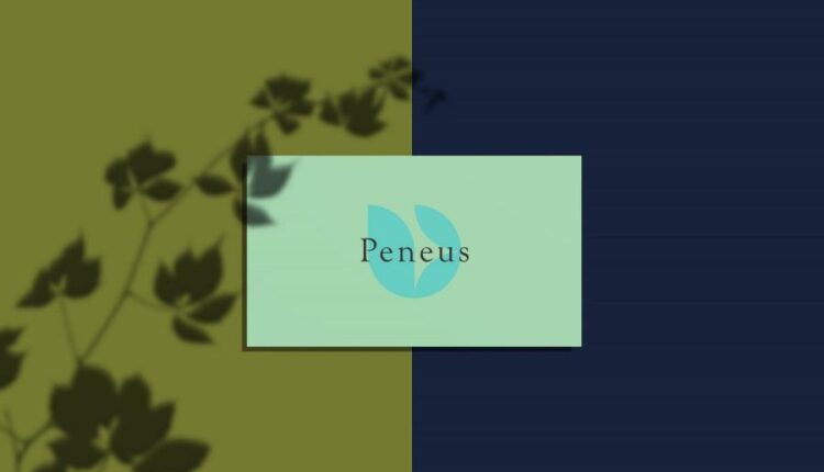 موکاپ کارت ویزیت   Business Card Mockup