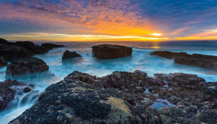 سری سی و ششم والپیپر های با کیفیت Wallpaper   4K