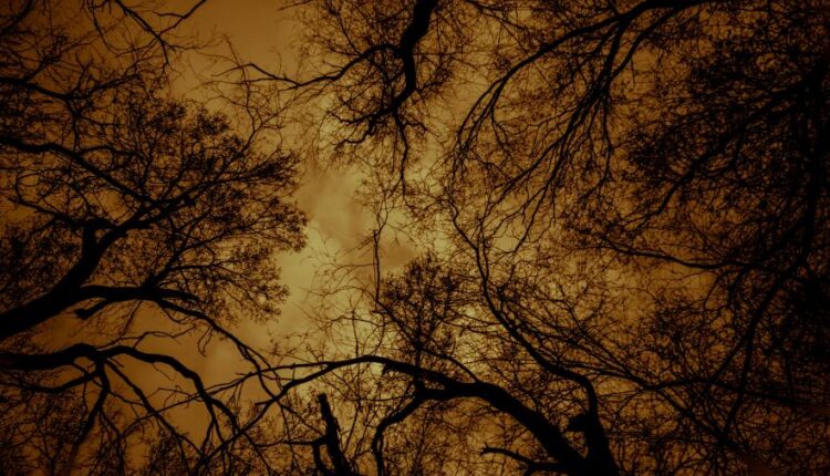 سری سی و ششم والپیپر های با کیفیت Wallpaper   4K