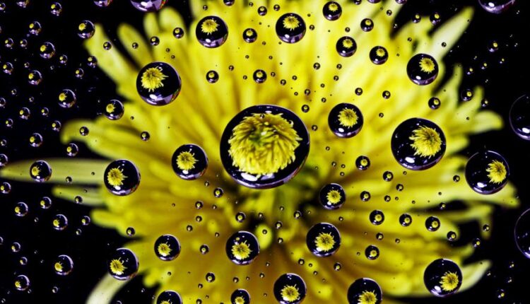 سری سی و ششم والپیپر های با کیفیت Wallpaper   4K