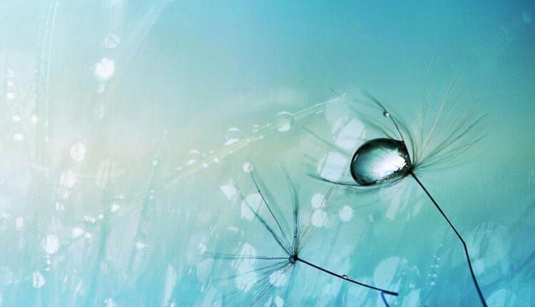 سری سی و ششم والپیپر های با کیفیت Wallpaper   4K