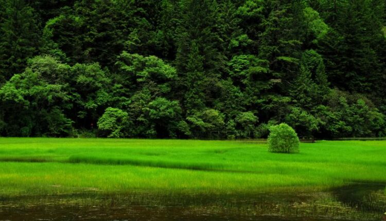 سری سی و ششم والپیپر های با کیفیت Wallpaper   4K