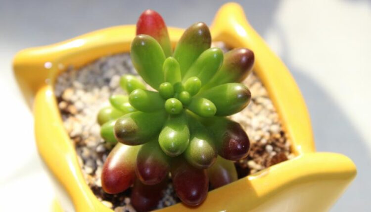 سری سی و ششم والپیپر های با کیفیت Wallpaper   4K