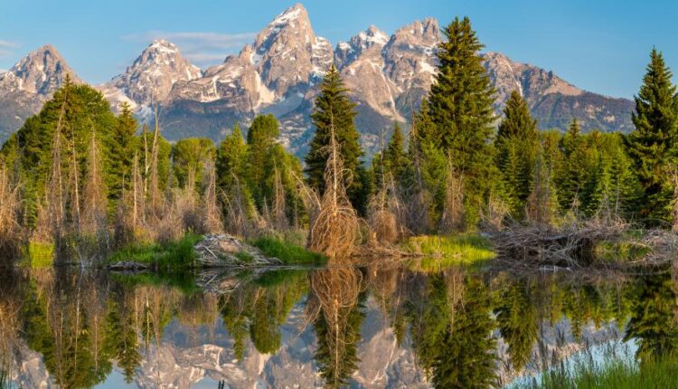 سری چهلم والپیپر های با کیفیت Wallpaper   Ultra HD