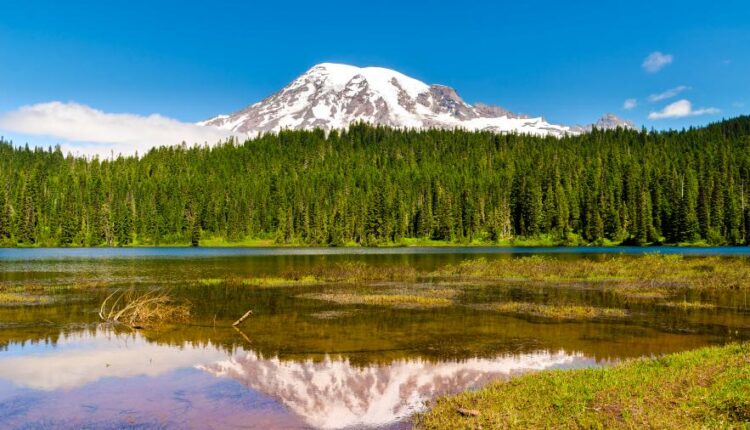 سری چهل و سوم عکس زمینه های با کیفیت Ultra HD