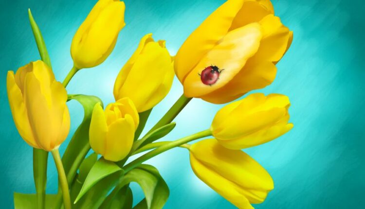 سری چهل و سوم عکس زمینه های با کیفیت Ultra HD