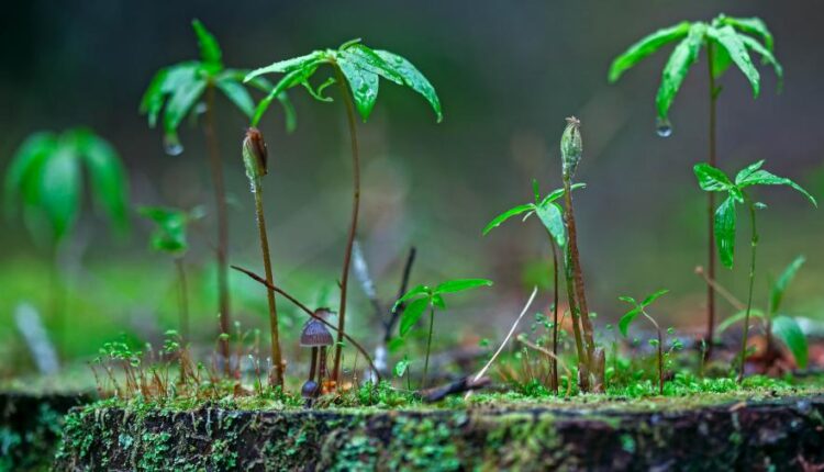 سری چهل و سوم عکس زمینه های با کیفیت Ultra HD