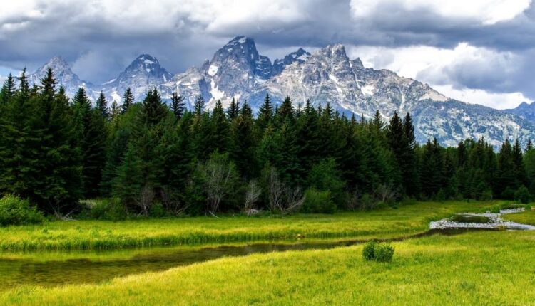 سری چهل و سوم عکس زمینه های با کیفیت Ultra HD