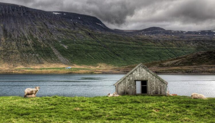 سری چهل و سوم عکس زمینه های با کیفیت Ultra HD