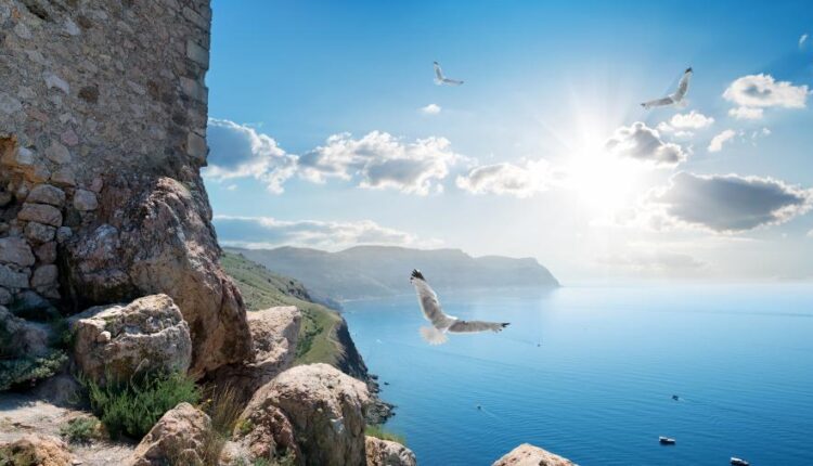 سری پنجاه و هفتم تصویر زمینه های باکیفیت Ultra HD