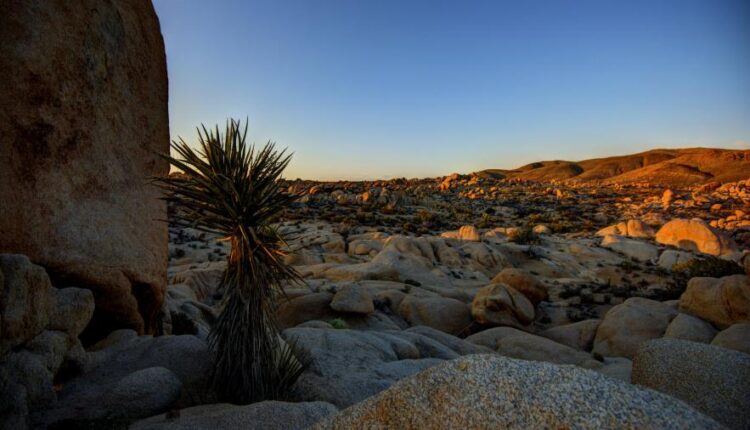 سری پنجاه و هفتم تصویر زمینه های باکیفیت Ultra HD