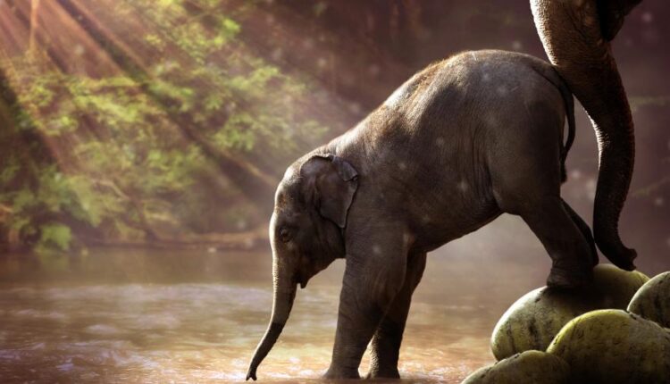 سری پنجاه و هفتم تصویر زمینه های باکیفیت Ultra HD