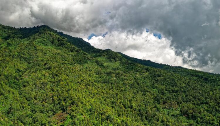 سری پنجاه و هفتم تصویر زمینه های باکیفیت Ultra HD