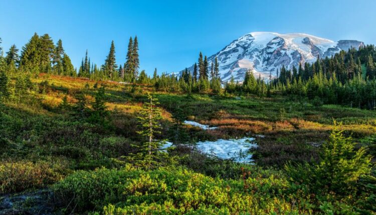 سری پنجاه و هفتم تصویر زمینه های باکیفیت Ultra HD