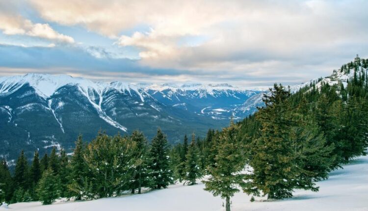 سری پنجاه و دوم بک گراند های باکیفیت Ultra HD