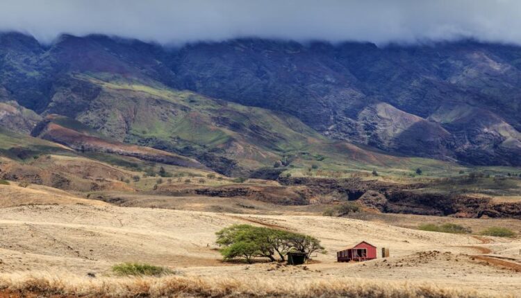 سری پنجاه و دوم بک گراند های باکیفیت Ultra HD