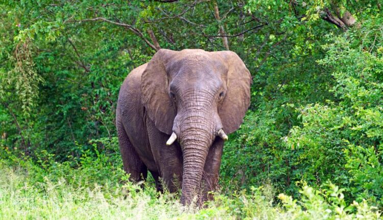 سری پنجاه و دوم بک گراند های باکیفیت Ultra HD