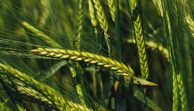 سری چهل و هشتم بک گراند های با کیفیت Ultra HD