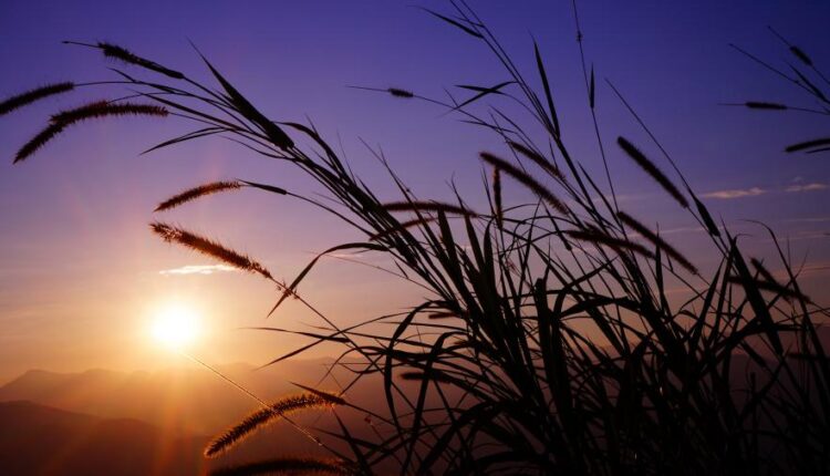 سری چهل و هشتم بک گراند های با کیفیت Ultra HD