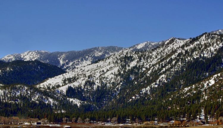 سری چهل و پنجم والپیپر های طبیعت   Nature Wallpapers