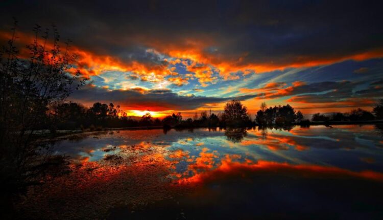 سری چهل و پنجم والپیپر های طبیعت   Nature Wallpapers