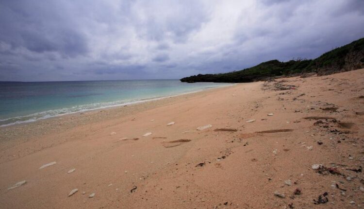 سری چهل و پنجم والپیپر های طبیعت   Nature Wallpapers