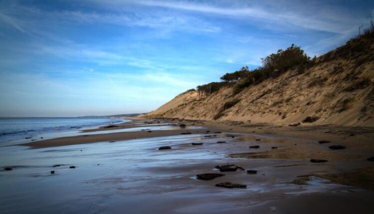 سری چهل و پنجم والپیپر های طبیعت   Nature Wallpapers