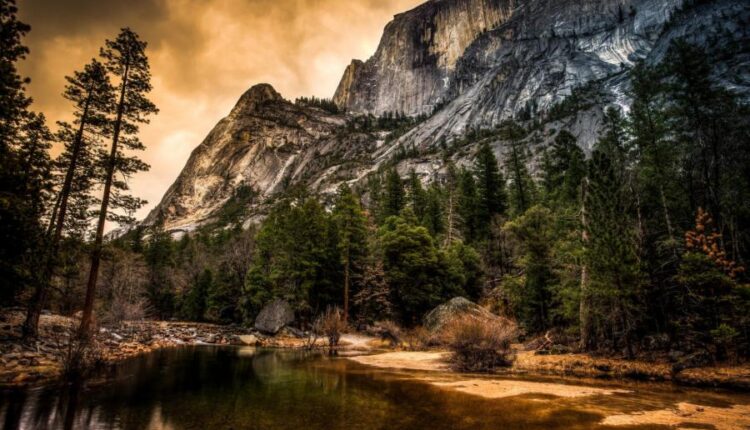 سری چهل و پنجم والپیپر های طبیعت   Nature Wallpapers