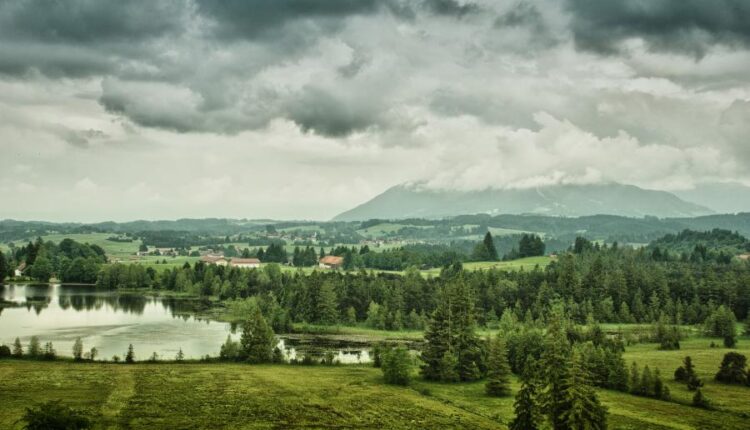 سری چهل و پنجم والپیپر های طبیعت   Nature Wallpapers