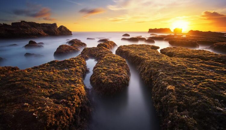 سری چهل و پنجم والپیپر های طبیعت   Nature Wallpapers